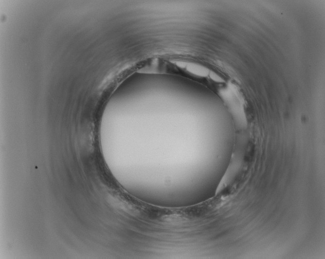 X0000070250544200606232010