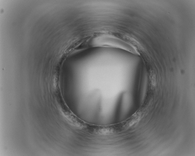 X0000070250546200606232010