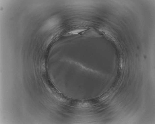 X0000070250547200606232010