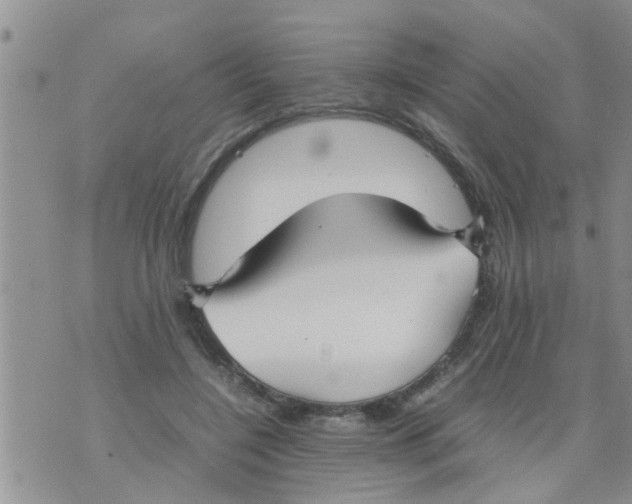 X0000070250548200606232010