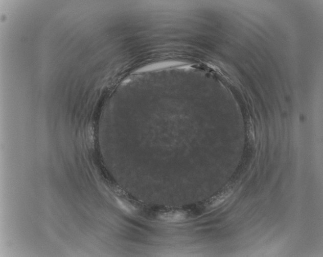 X0000070250551200606232010