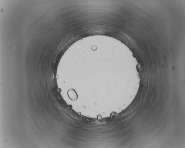 X0000070250552200606232010