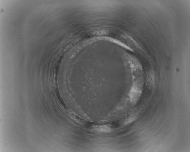 X0000070250553200606232010