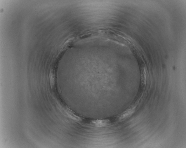 X0000070250558200606232010