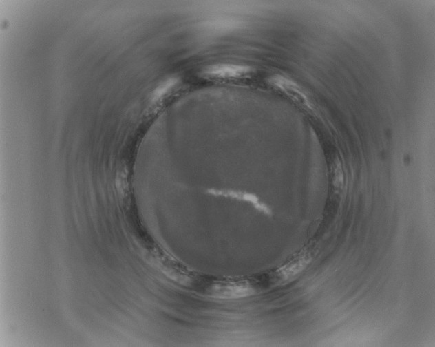 X0000070250559200606232010