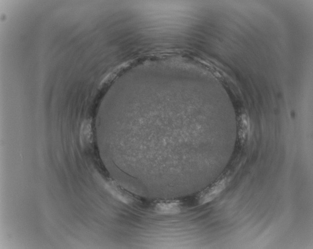 X0000070250560200606232010