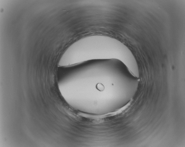 X0000070250562200606232010