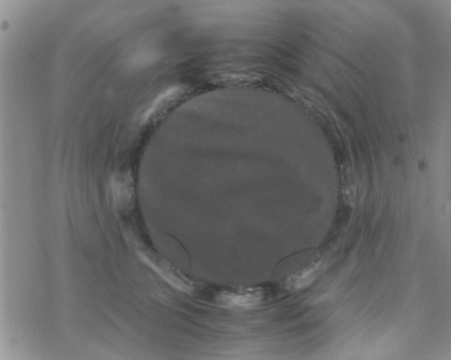 X0000070250563200606232010