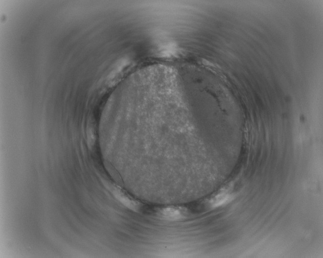 X0000070250566200606232011