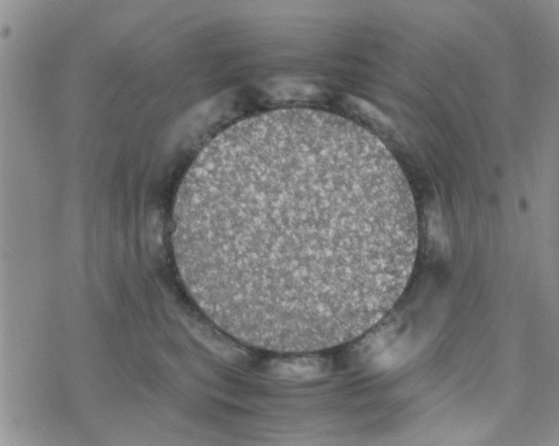 X0000070250567200606232011