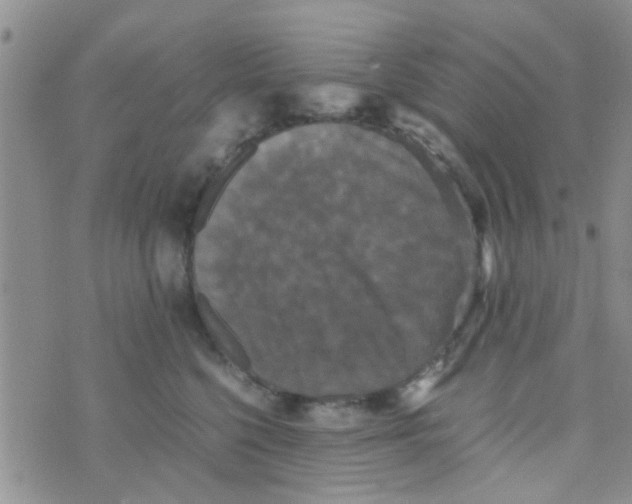 X0000070250568200606232011