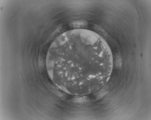 X0000070250569200606232011