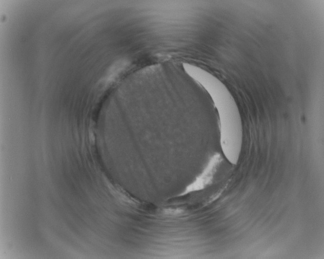 X0000070250570200606232011