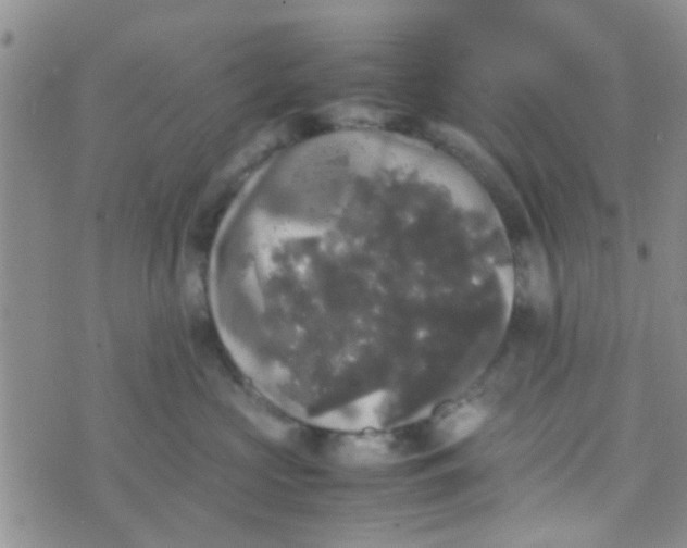 X0000070250573200606232011