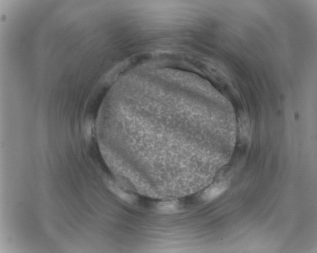 X0000070250574200606232011