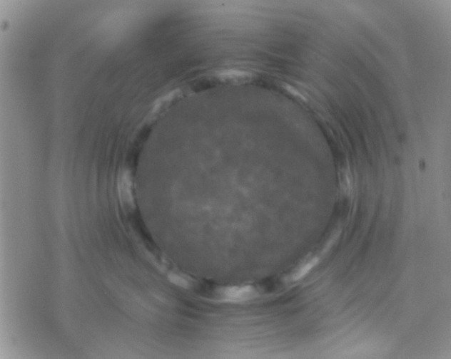 X0000070250575200606232011