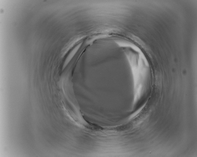 X0000070250577200606232010