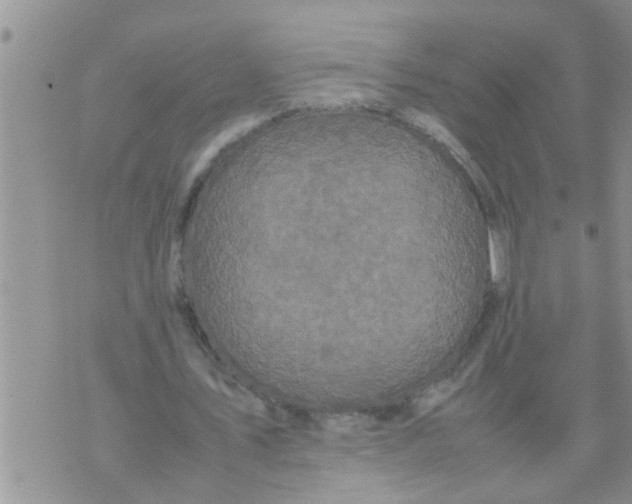 X0000070250579200606232010