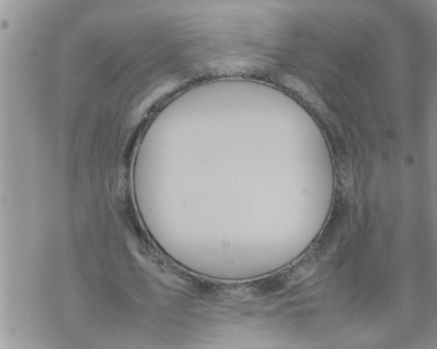 X0000070250583200606232010