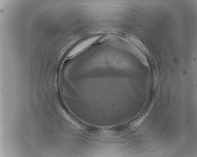 X0000070250585200606232010