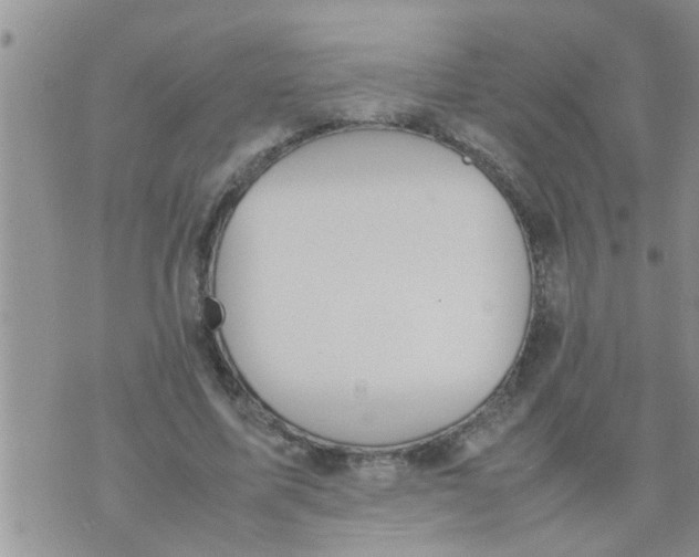 X0000070250587200606232010