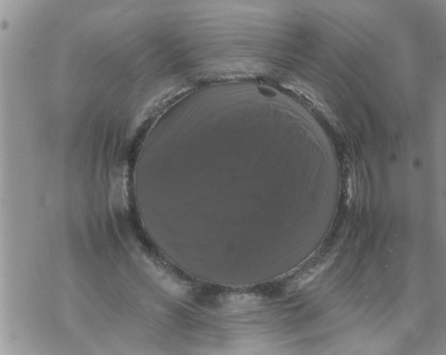 X0000070250590200606232010