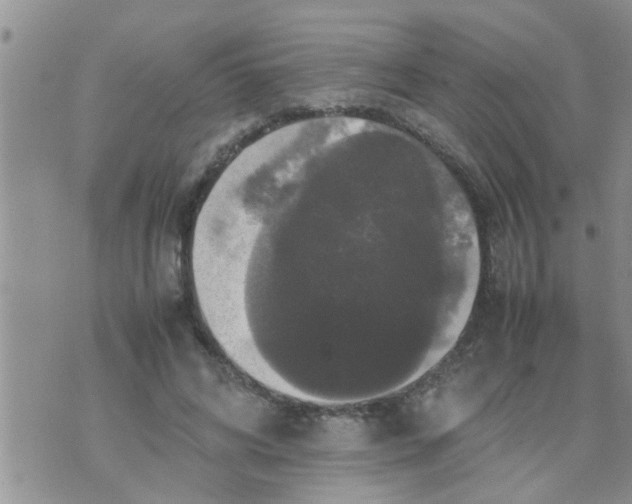 X0000070250592200606232010