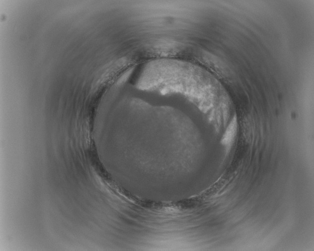 X0000070250594200606232010