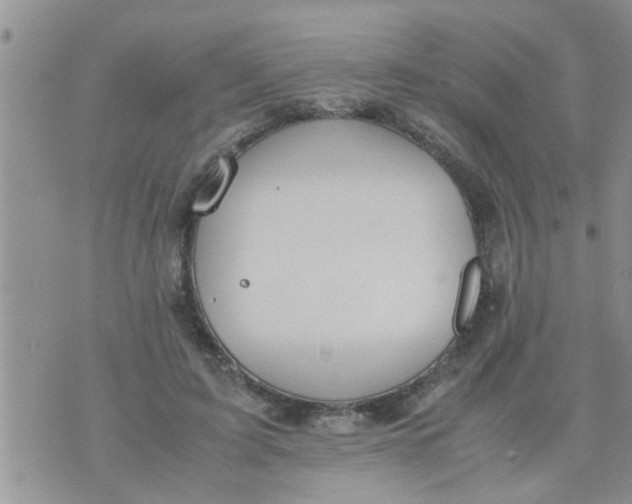 X0000070250595200606232010