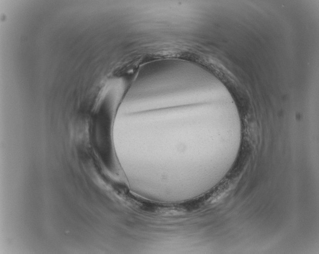 X0000070250597200606232010