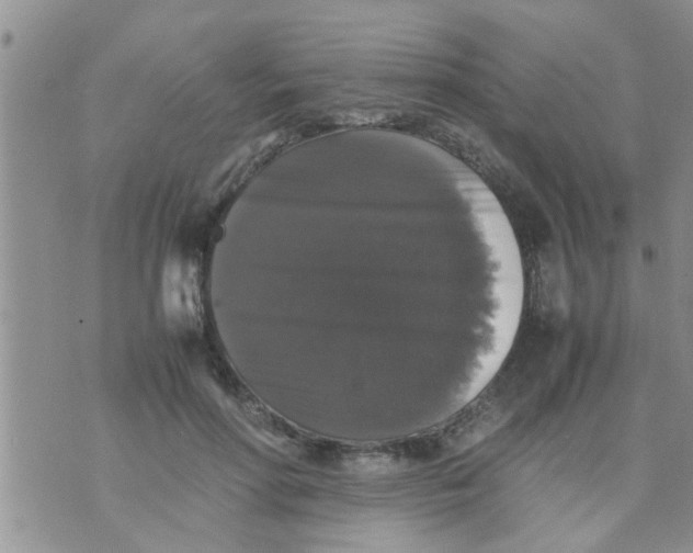 X0000070250598200606232010