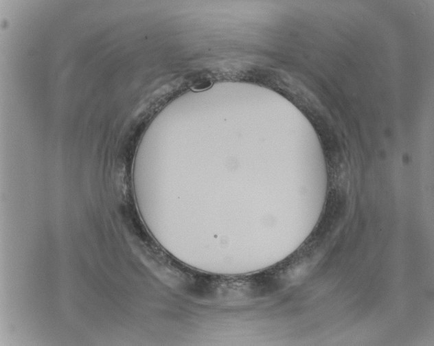 X0000070250599200606232010