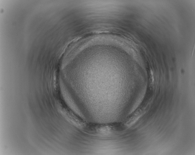 X0000070250600200606232010