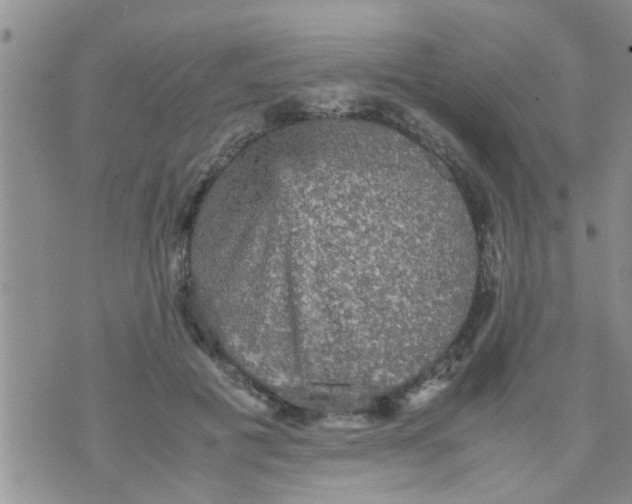 X0000070250601200606232010