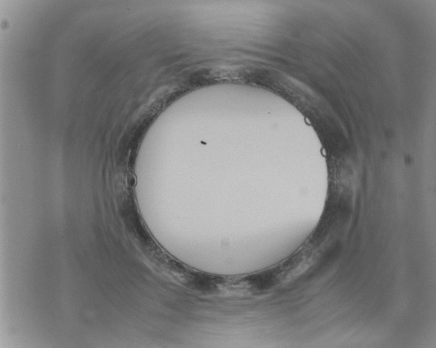 X0000070250603200606232009