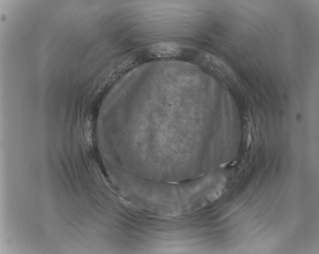 X0000070250604200606232009