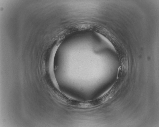 X0000070250605200606232009