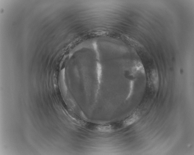 X0000070250606200606232009