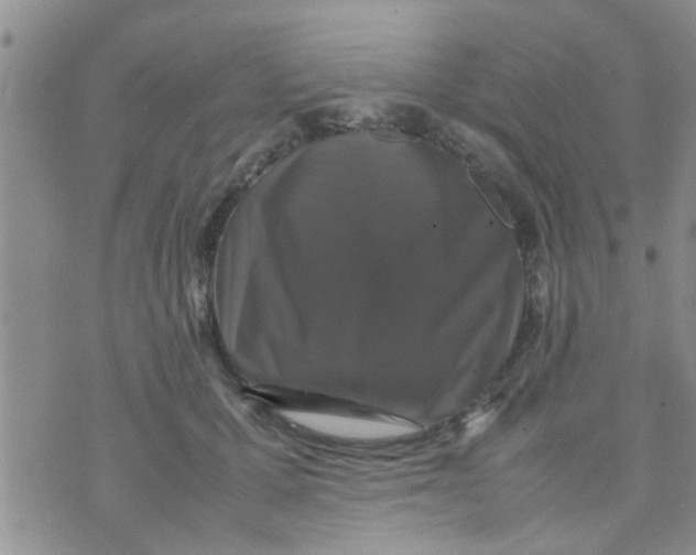 X0000070250607200606232009