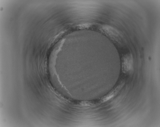 X0000070250608200606232009