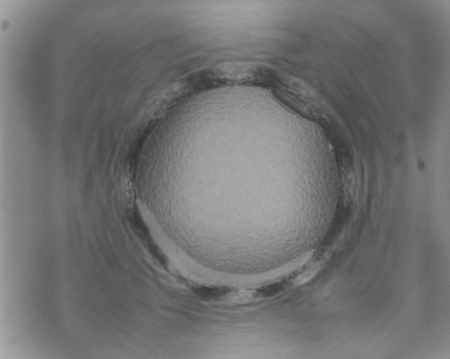 X0000070250609200606232009