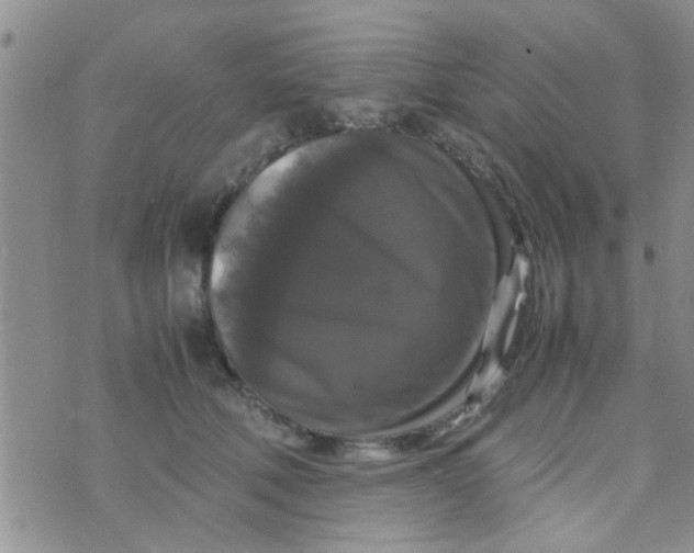 X0000070250610200606232009