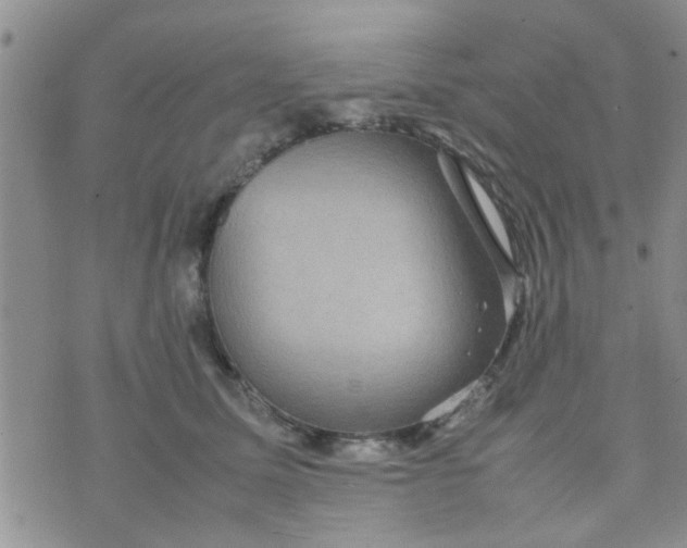 X0000070250611200606232009