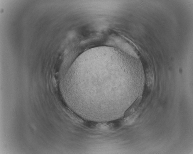 X0000070250613200606232009