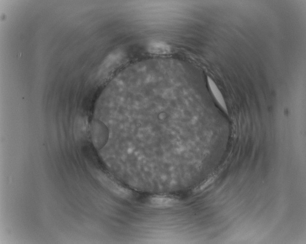 X0000070250614200606232009