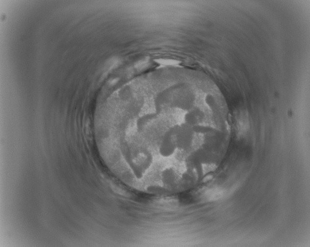 X0000070250619200606232009