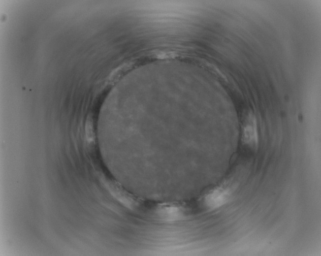 X0000070250620200606232009