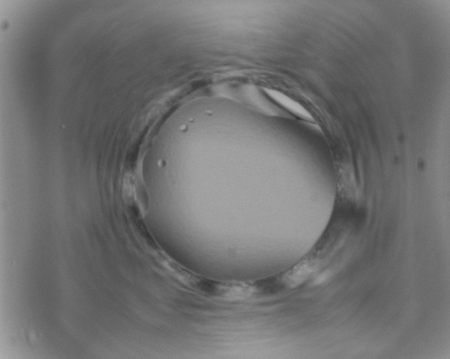 X0000070250621200606232009