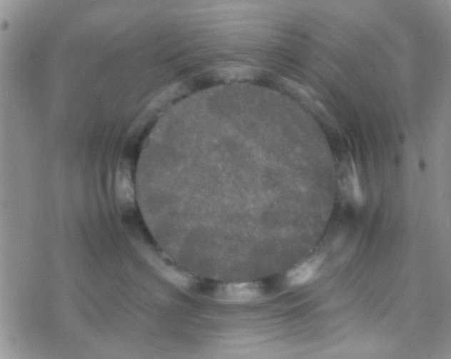 X0000070250622200606232009