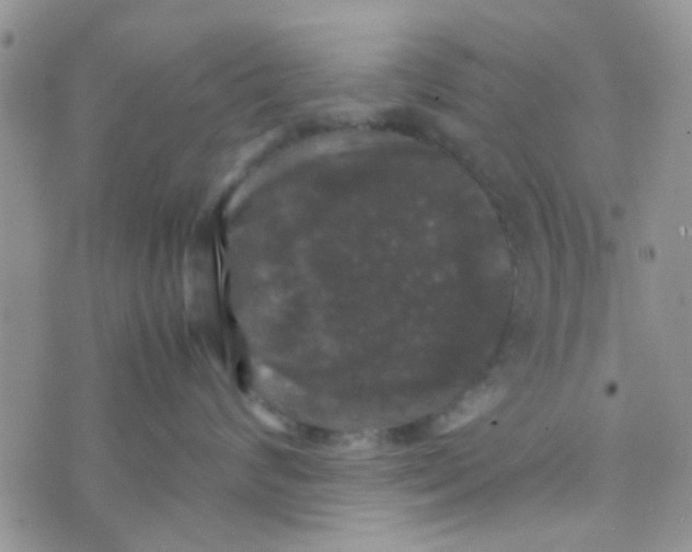 X0000070250624200606232009